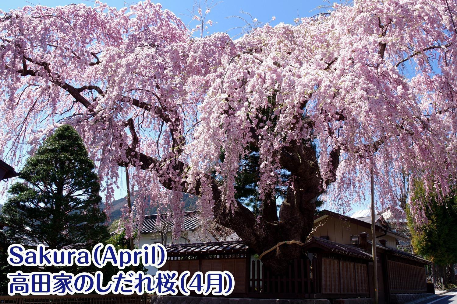 Nikko Stay House Arai - Vacation Stay 14994V المظهر الخارجي الصورة